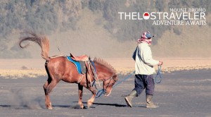 thelostraveler