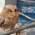 thelostraveler